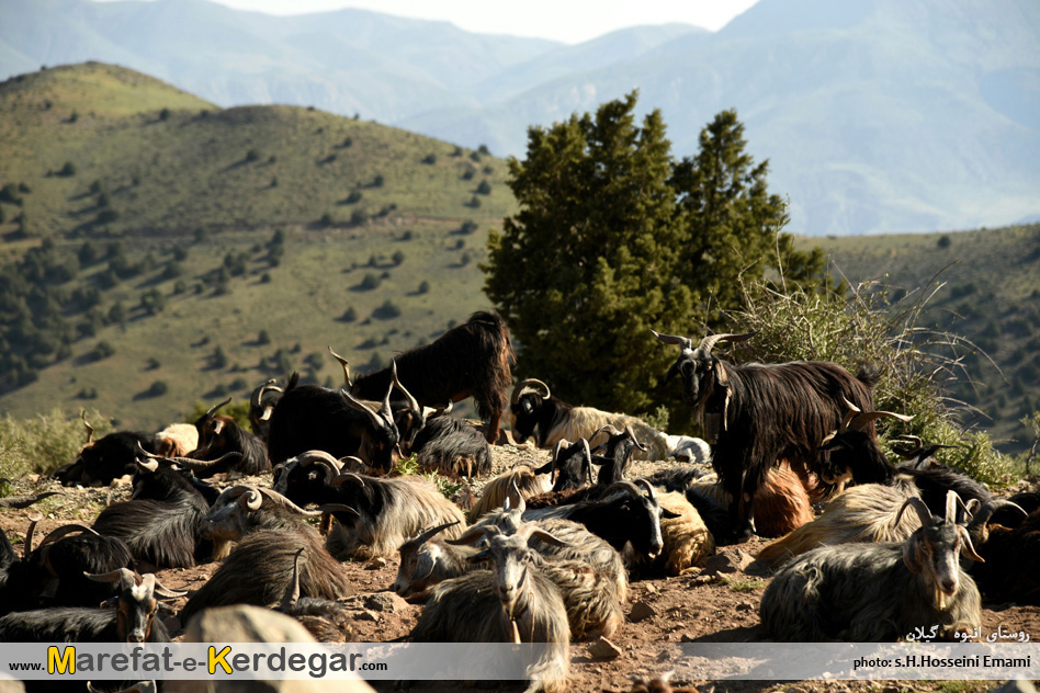 روستاهای هدف گردشگری عمارلو